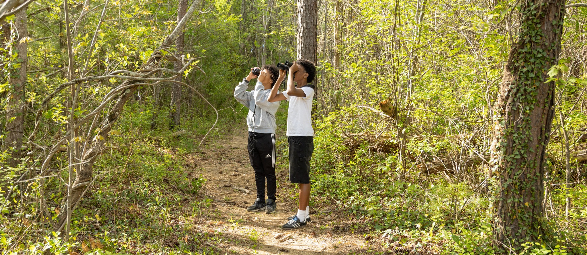 Two students look into the forest using binoculars.
