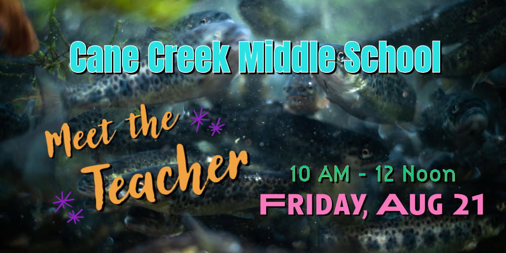 meet teacher