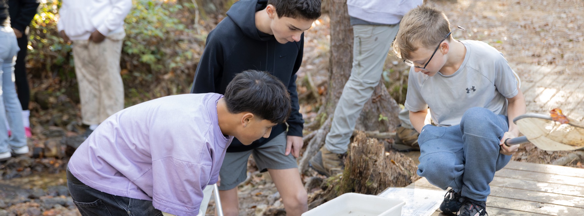 Three boys looking a bucket of water with different organisms in it that student caught in a creek. 