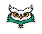 Bell Oaks Owl Mascot