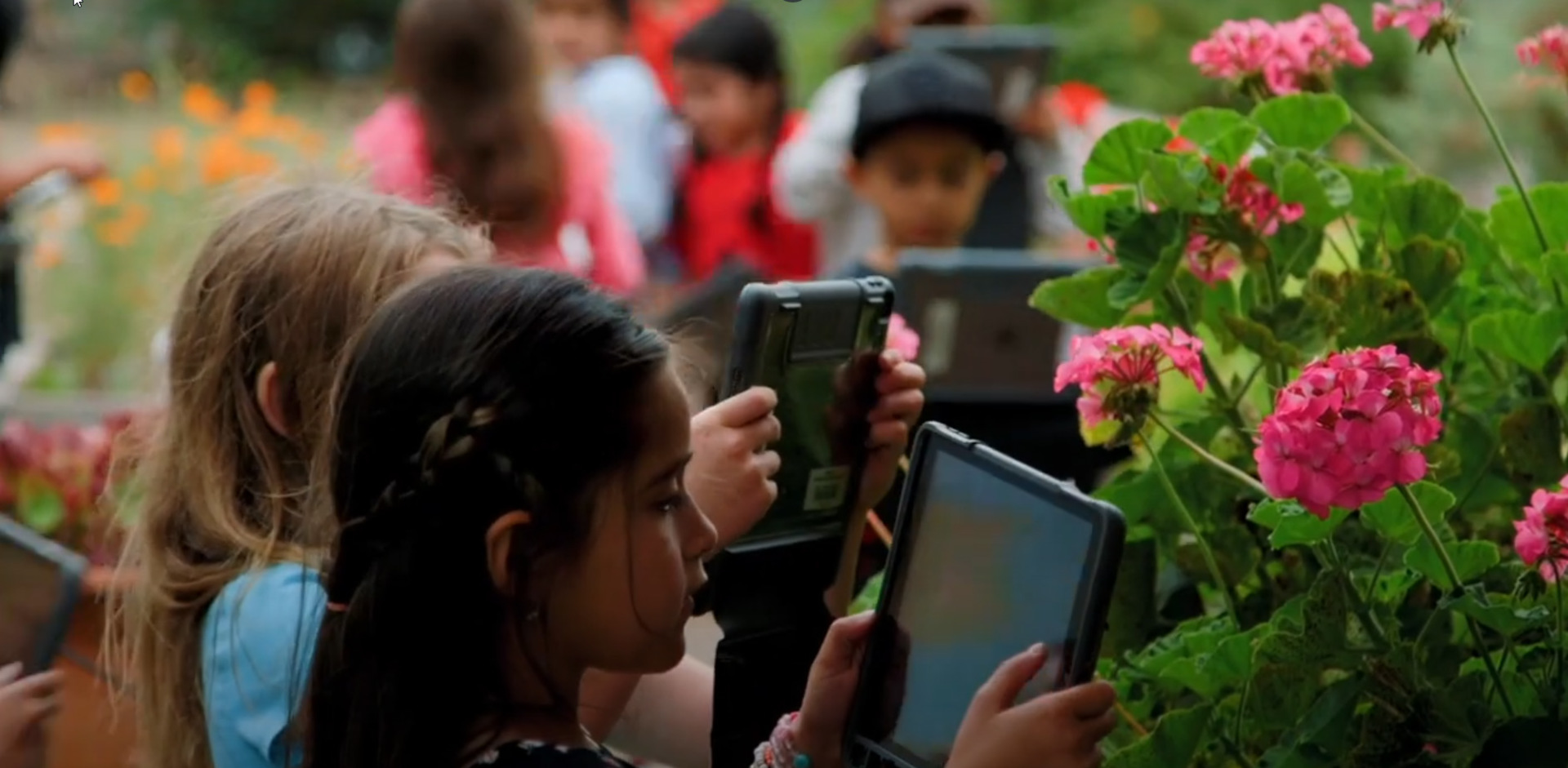 North Broadway students using their iPads to take photos of flowers.