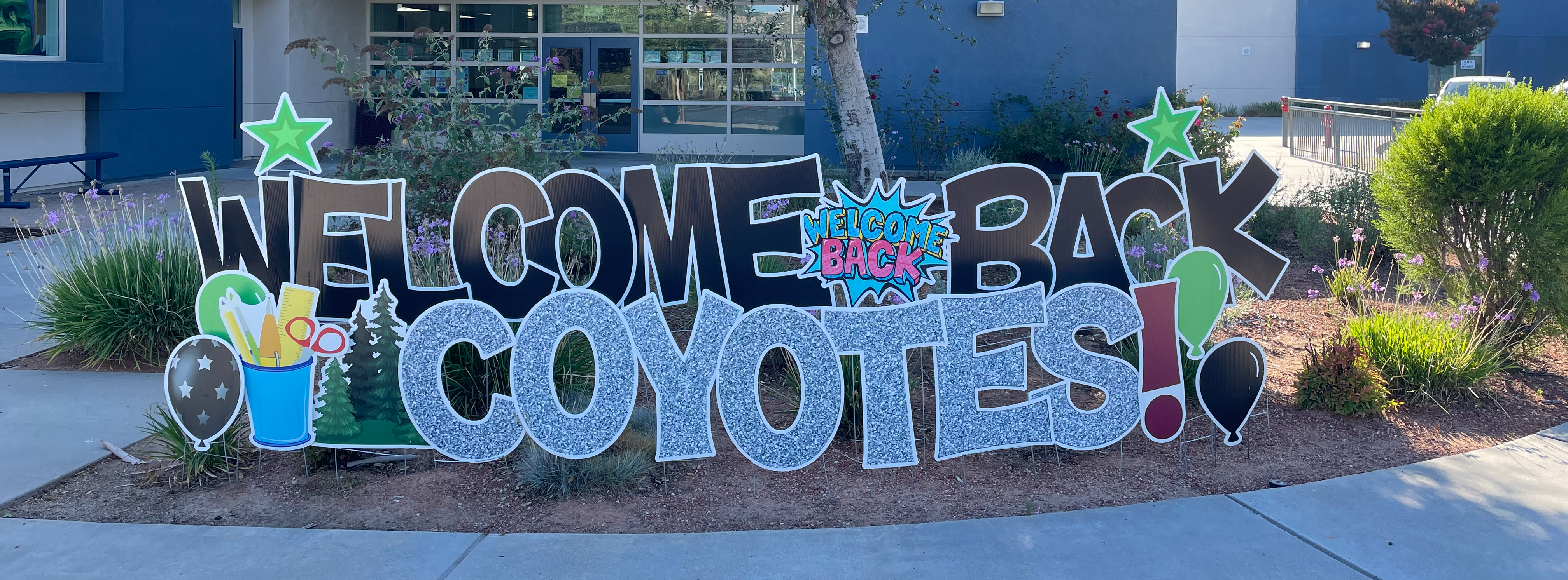 Welcome Back Coyotes!