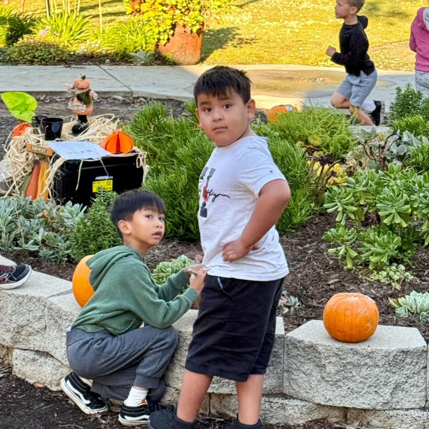 Glennie7:53 AMClaude responded: Two young students stand together near a school garden bed filled with succulents and pumpkins, with a fall harvest display and another child running in the gr…Two young students stand together near a school garden bed filled with succulents and pumpkins, with a fall harvest display and another child running in the grassy area behind them.