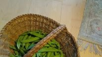 Peas in a basket