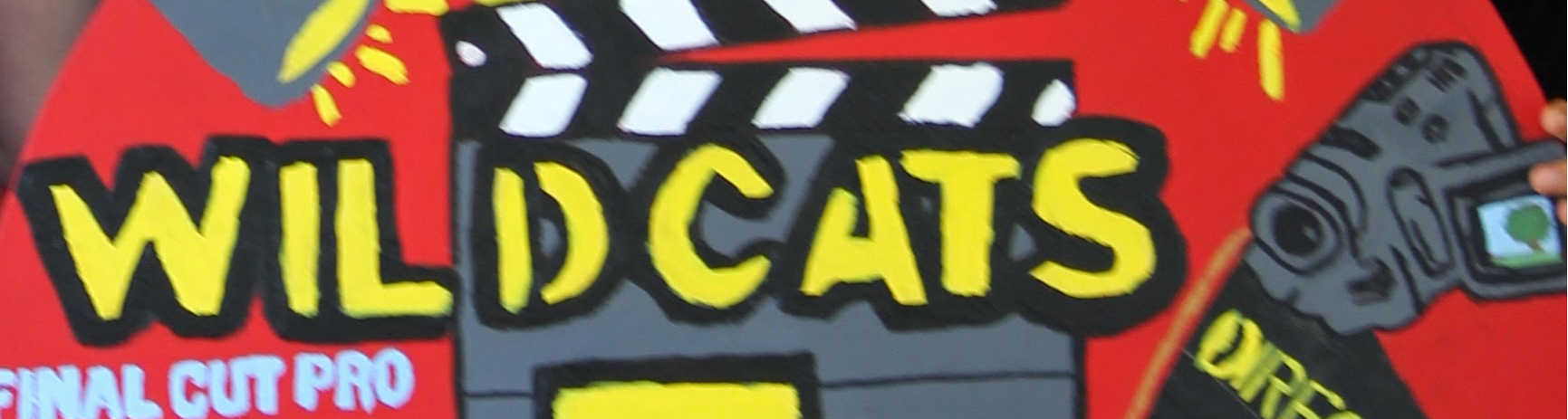 Wildcats sign
