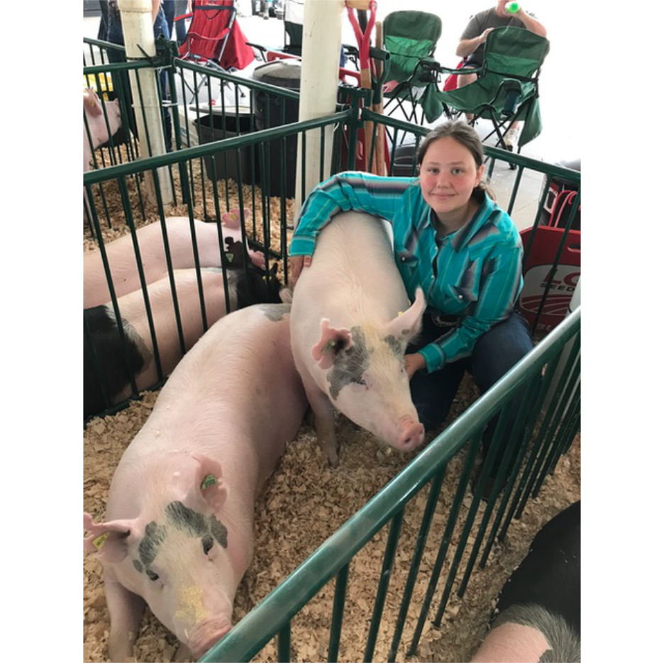 ffa student with pig