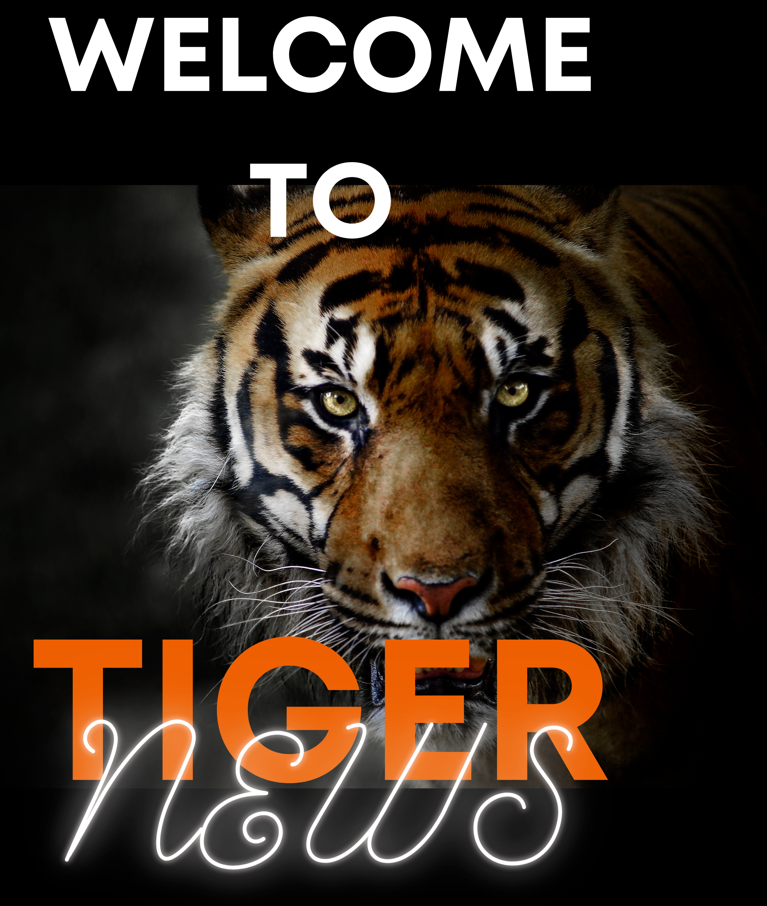 Tiger News Logo