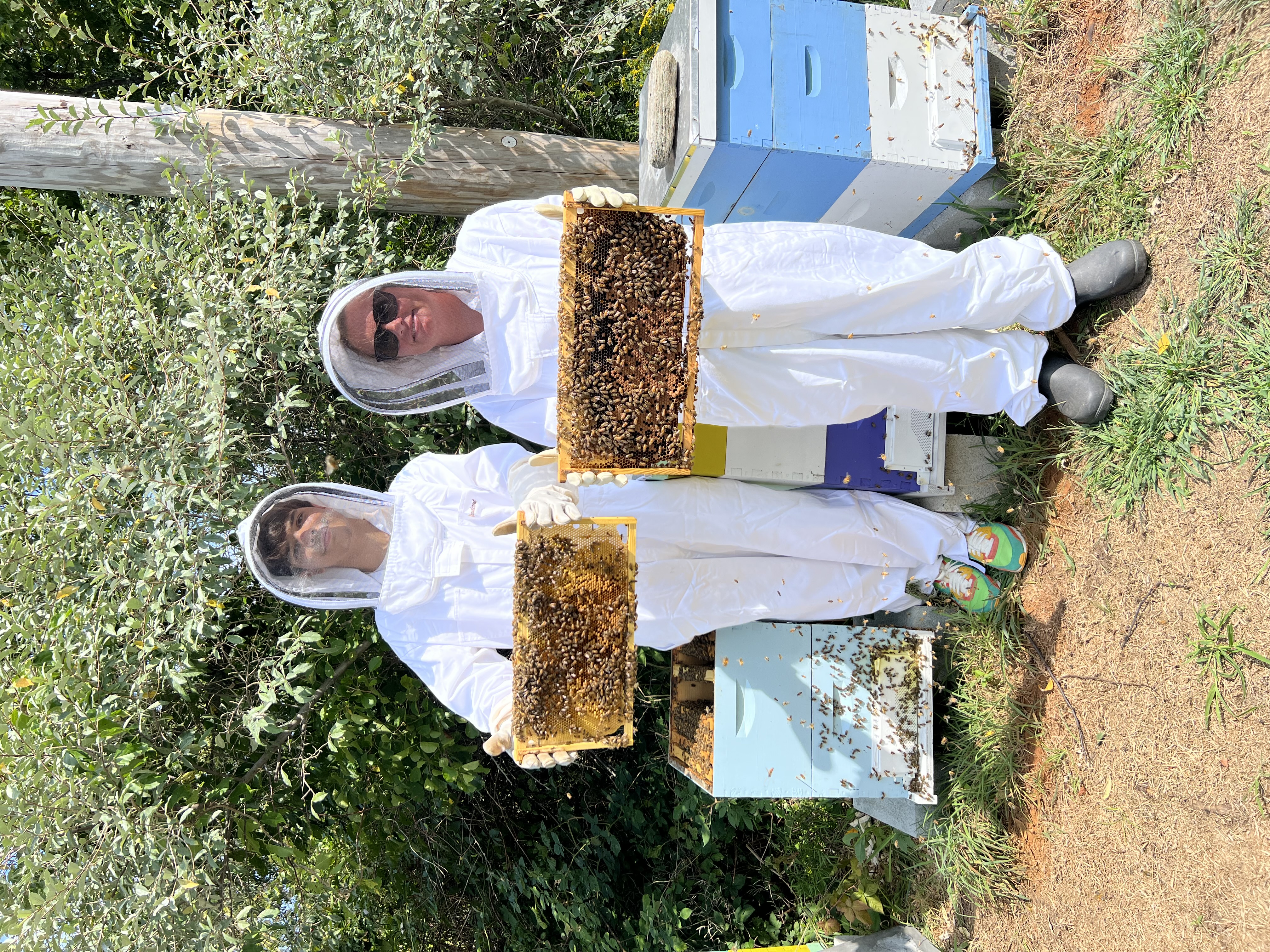 field bio beekeeping