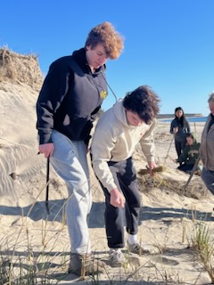 Students helping plant beach grass