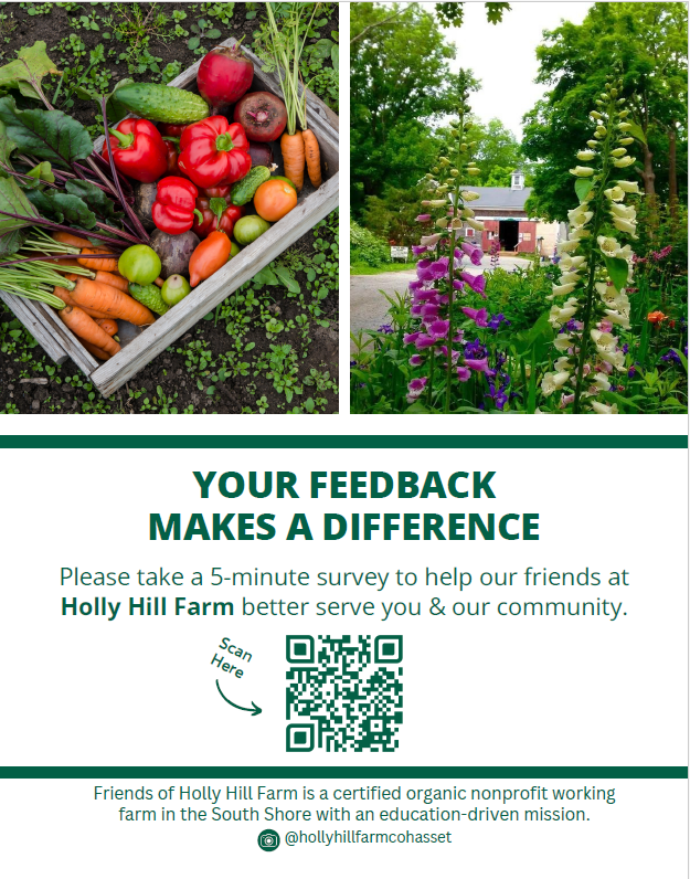 Holly Hill Survey
