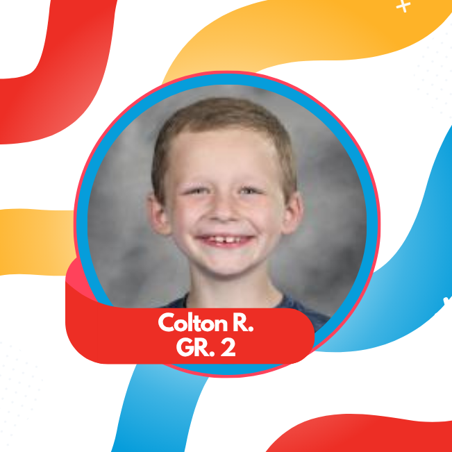 Gavin