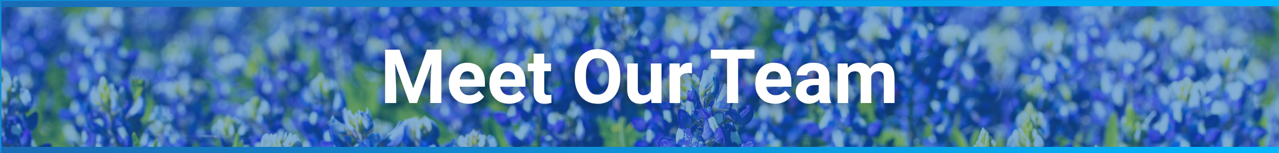 Meet Our Team
