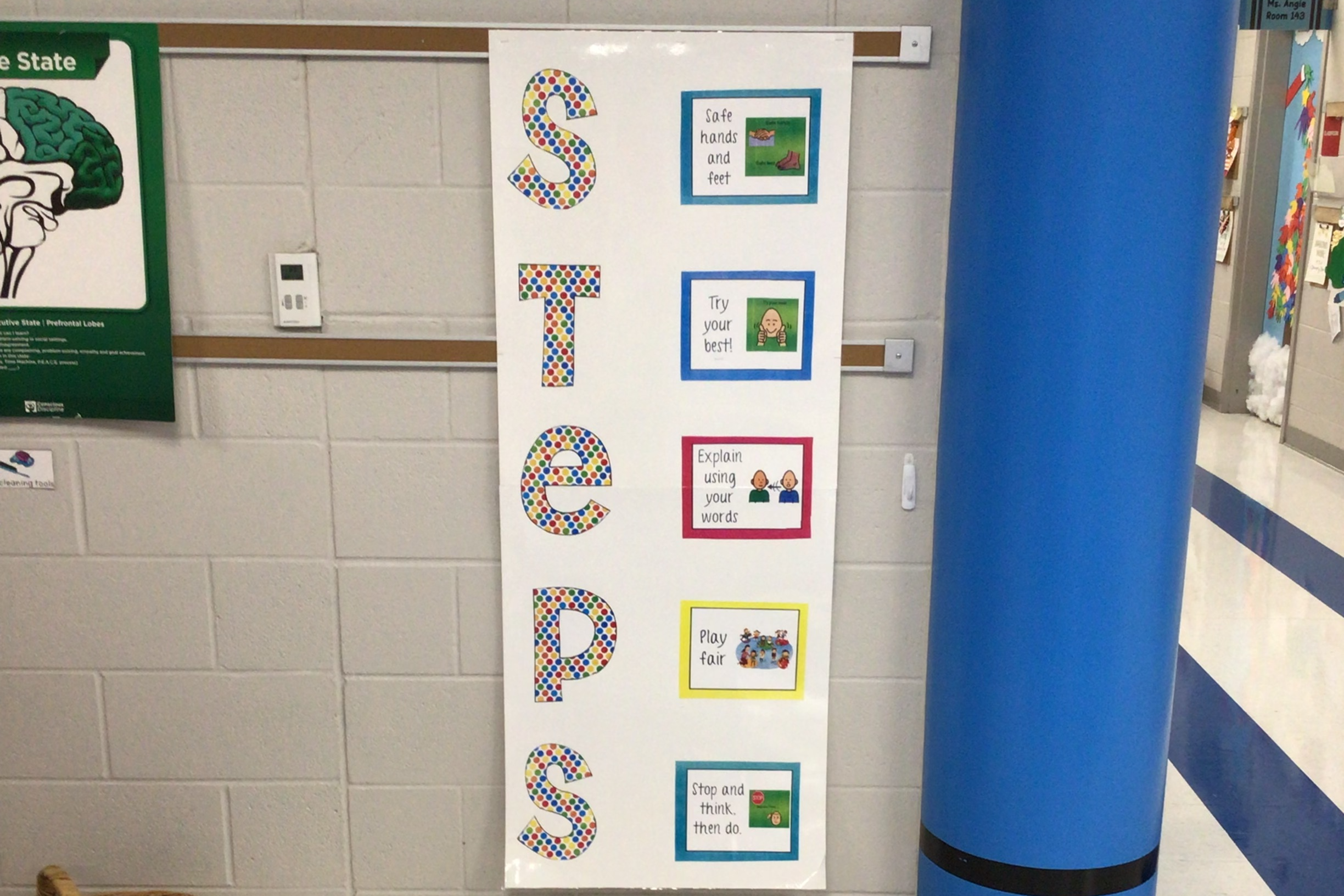 STEPS