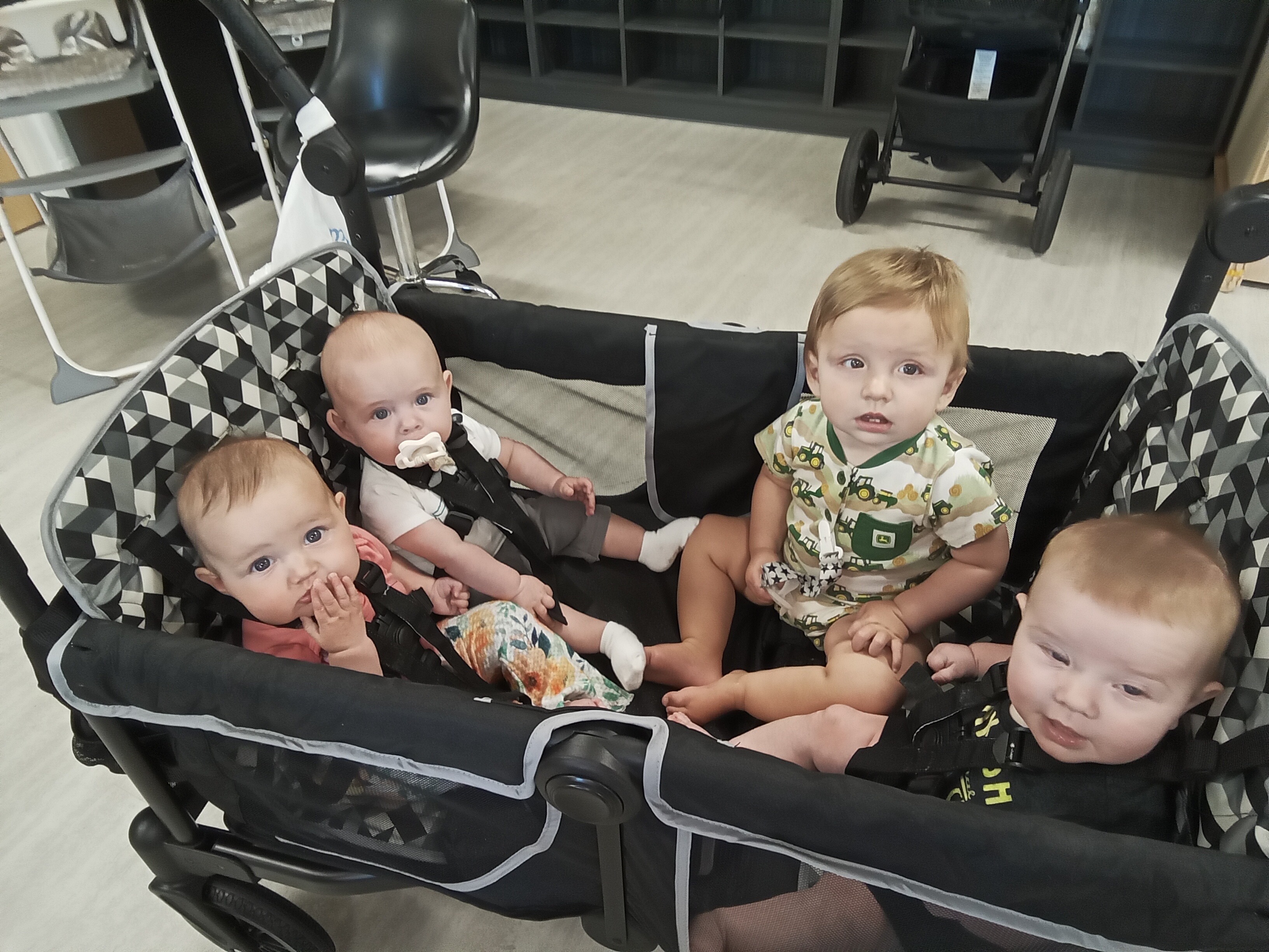 4 babies in wagon