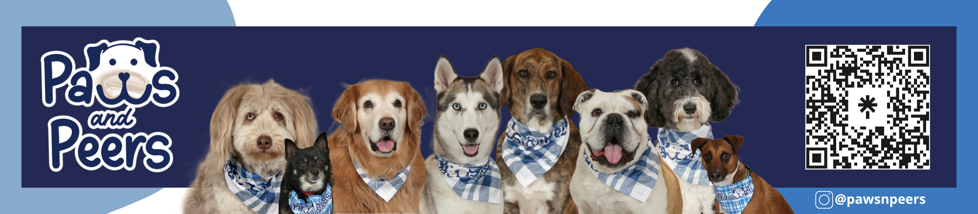 Paws & Peers banner, 4 dogs, 480-472-1014, pmkistner@mpsaz.org, @pawsnpeers, QR code