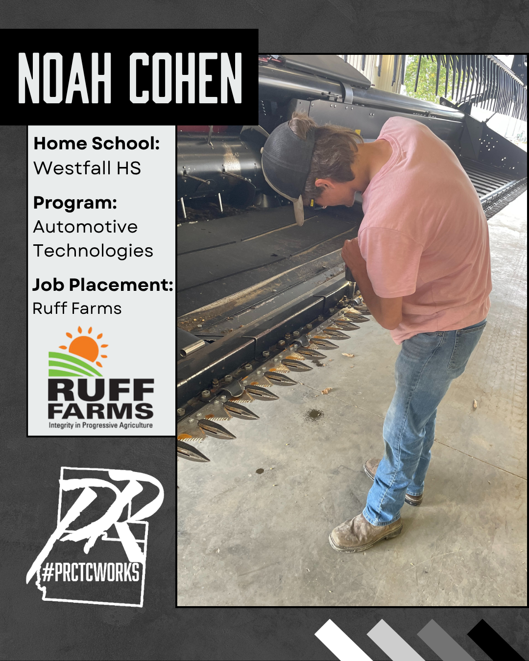 Noah Cohen
