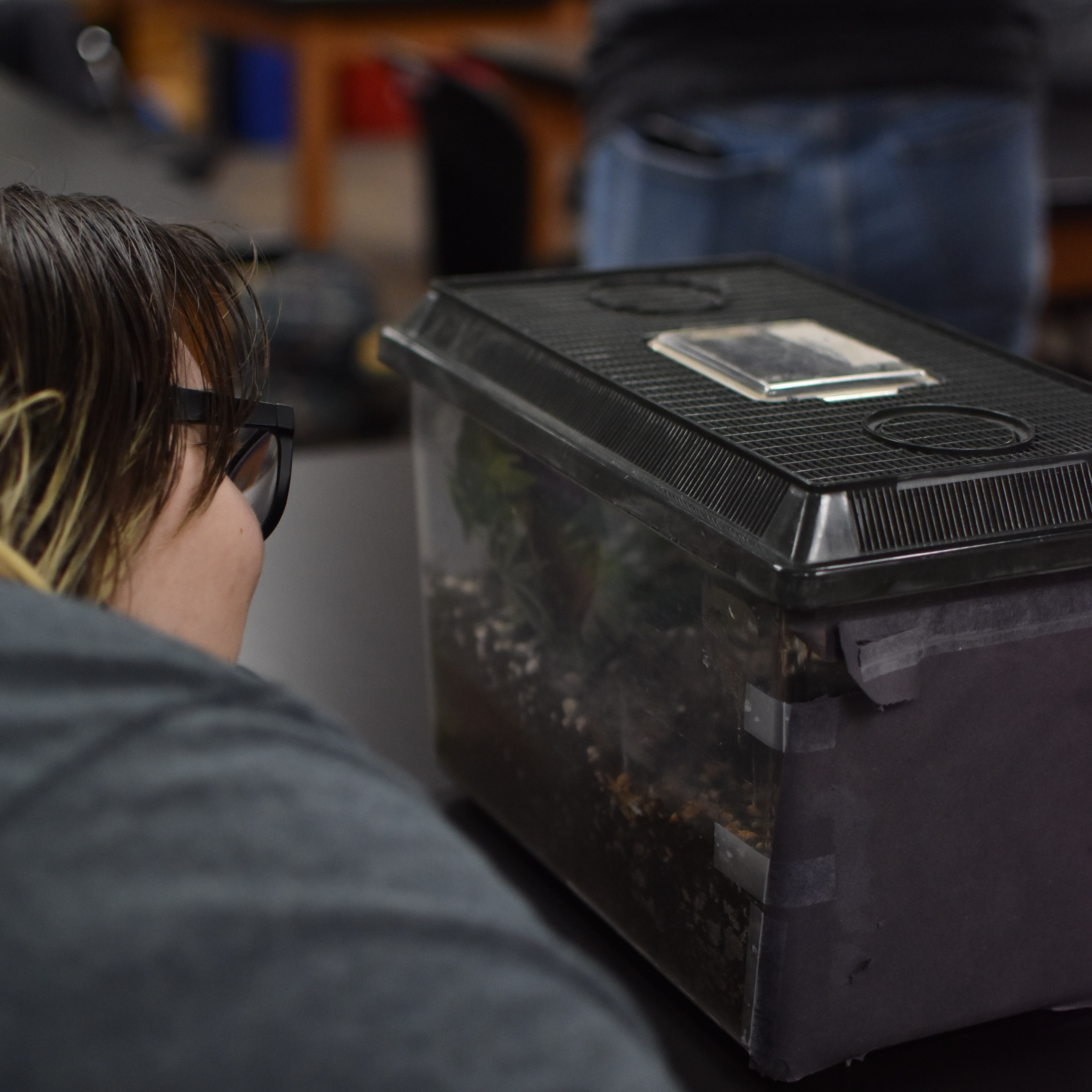 Person looking at a container with a transparent lid. Behind them, another person stands in front of a table.