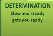 DETERMINATION