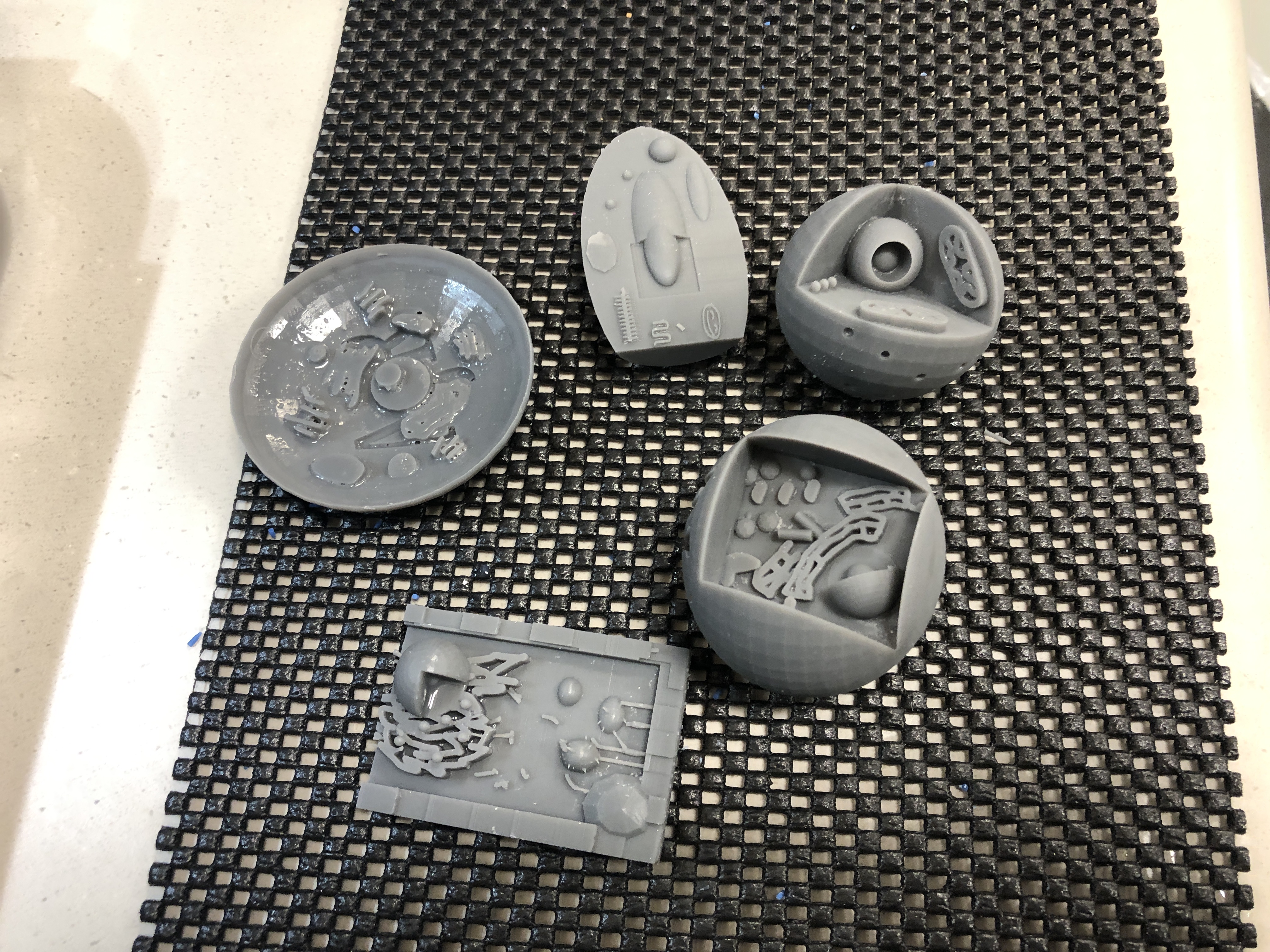 3d printed plant and animal cells