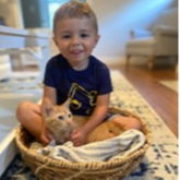 A small boy sitting in a wicker basket with an orange tabby kitten in his lap