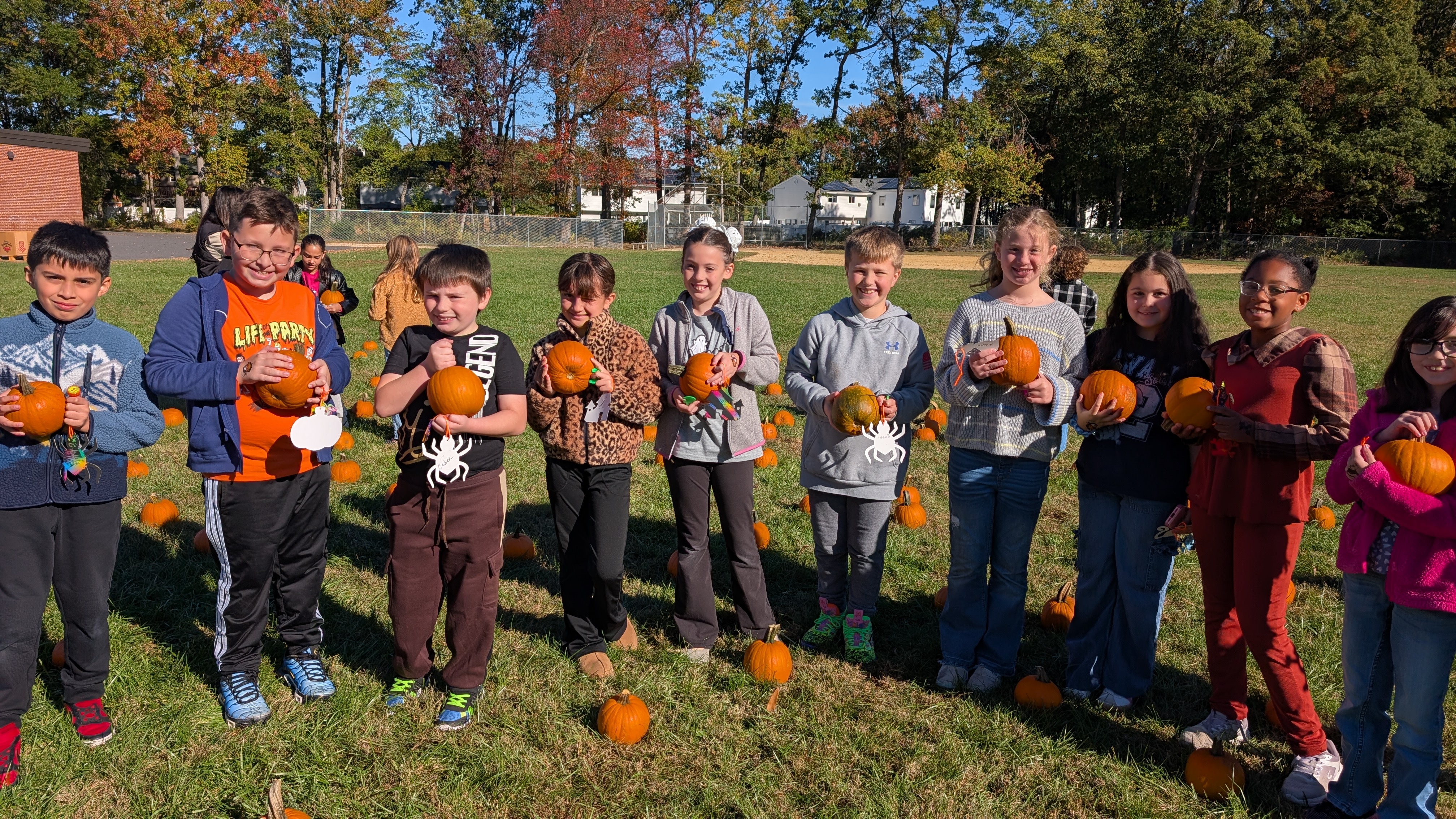 pumpkin