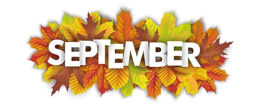 .sep