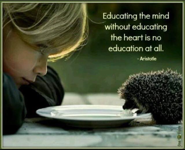 educational quote