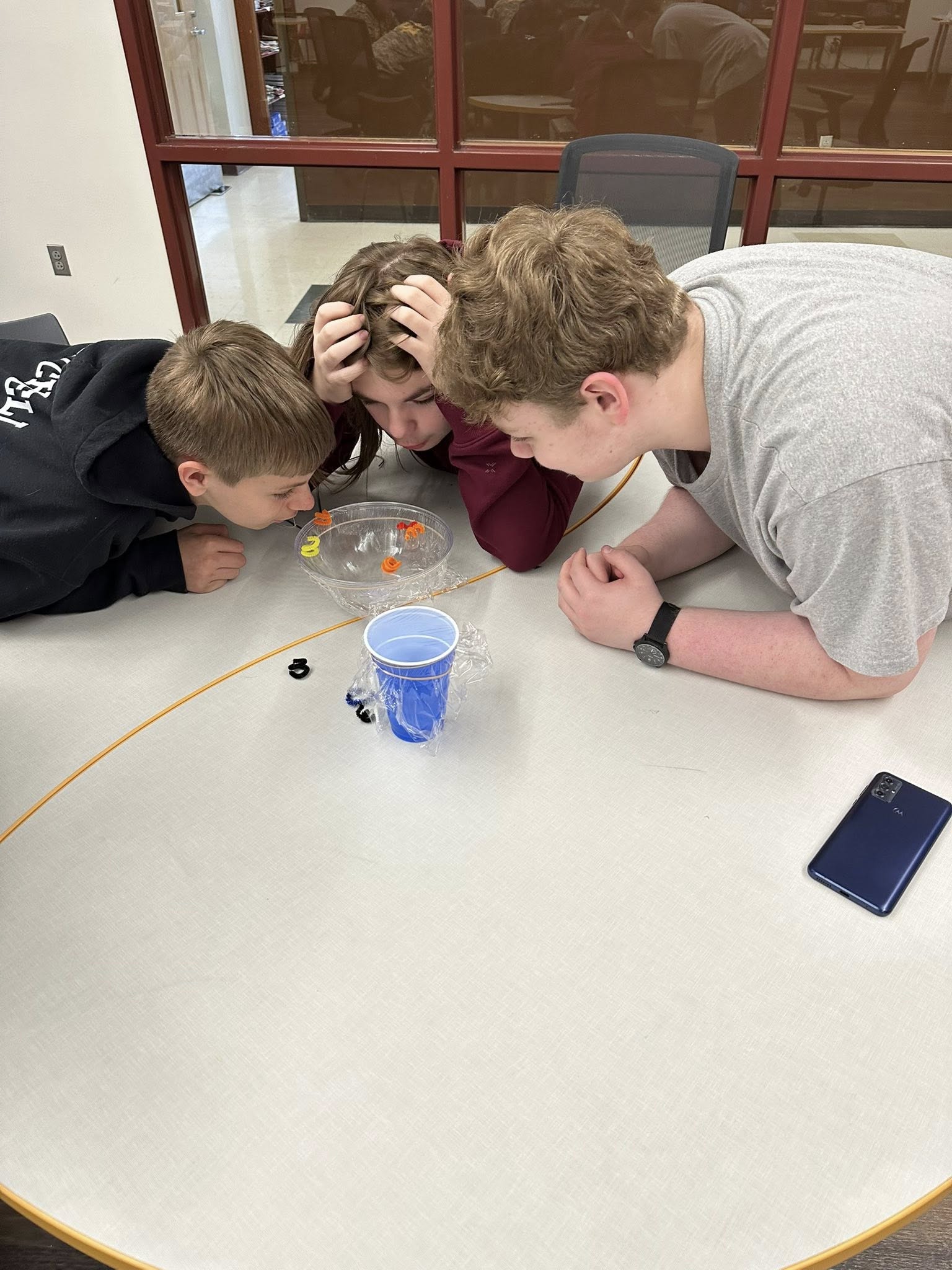 kidslookinginbowl