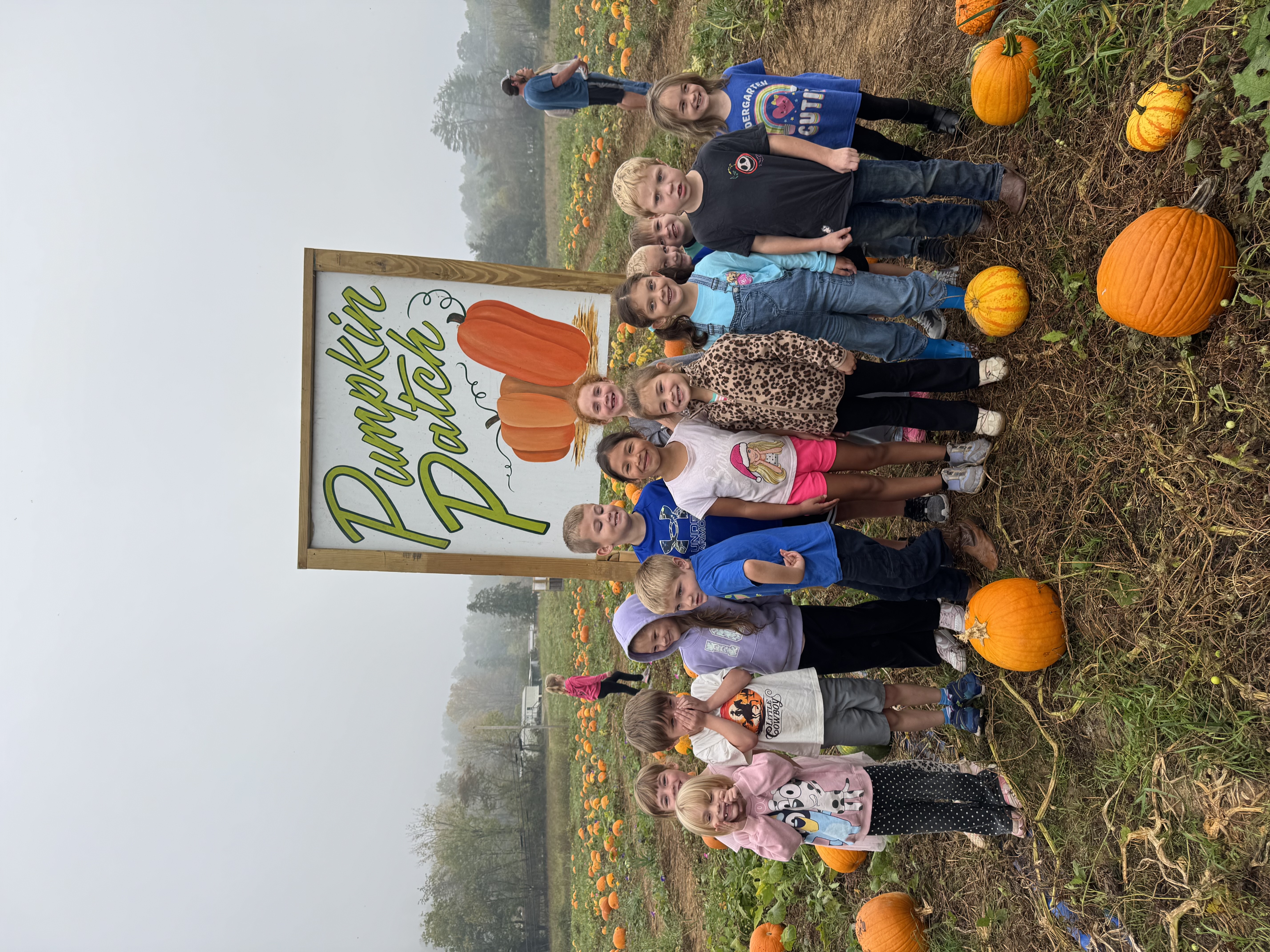 pumpkin patch