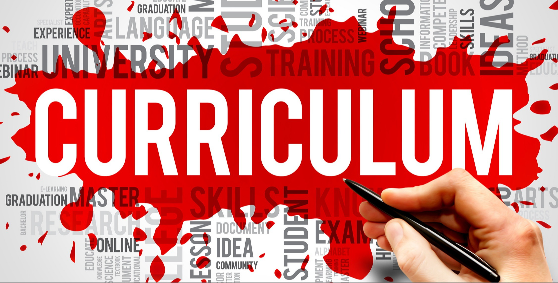 Curriculum