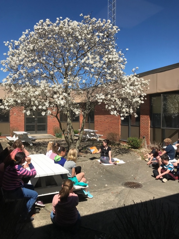 Students read a book under the blooming magnolia tree.