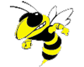 yellowjacket logo