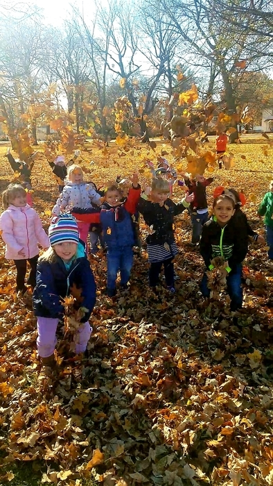 kids playing in the leaves