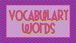 Vocabulary  words