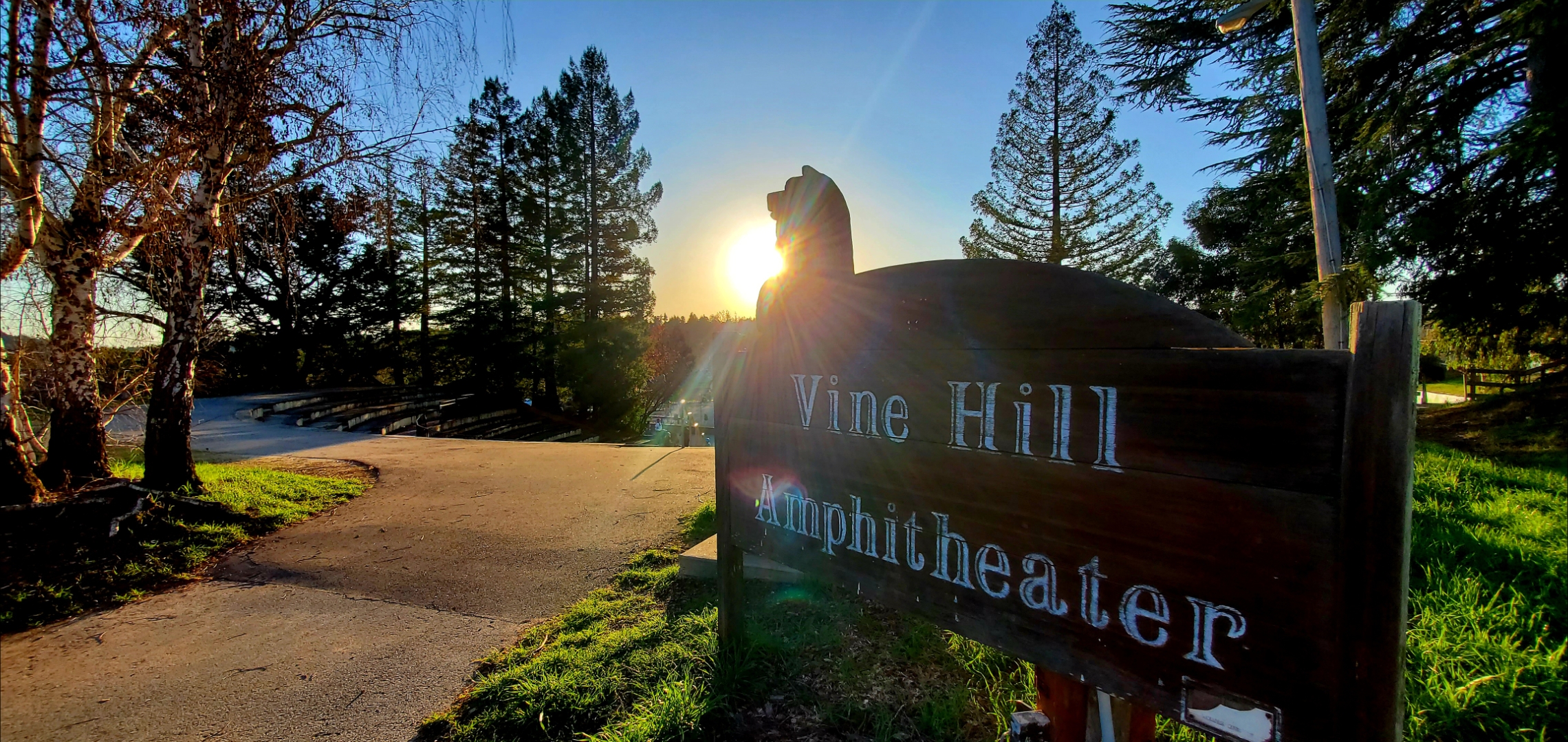 Vine Hill at Sunset