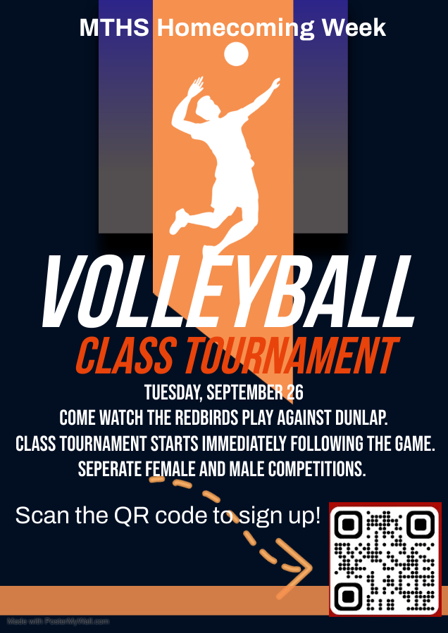 Volleyball Flyer