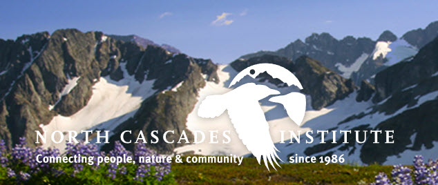 mountain school logo