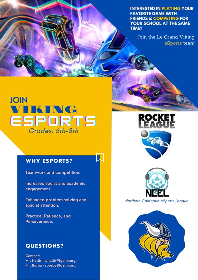 Viking eSports