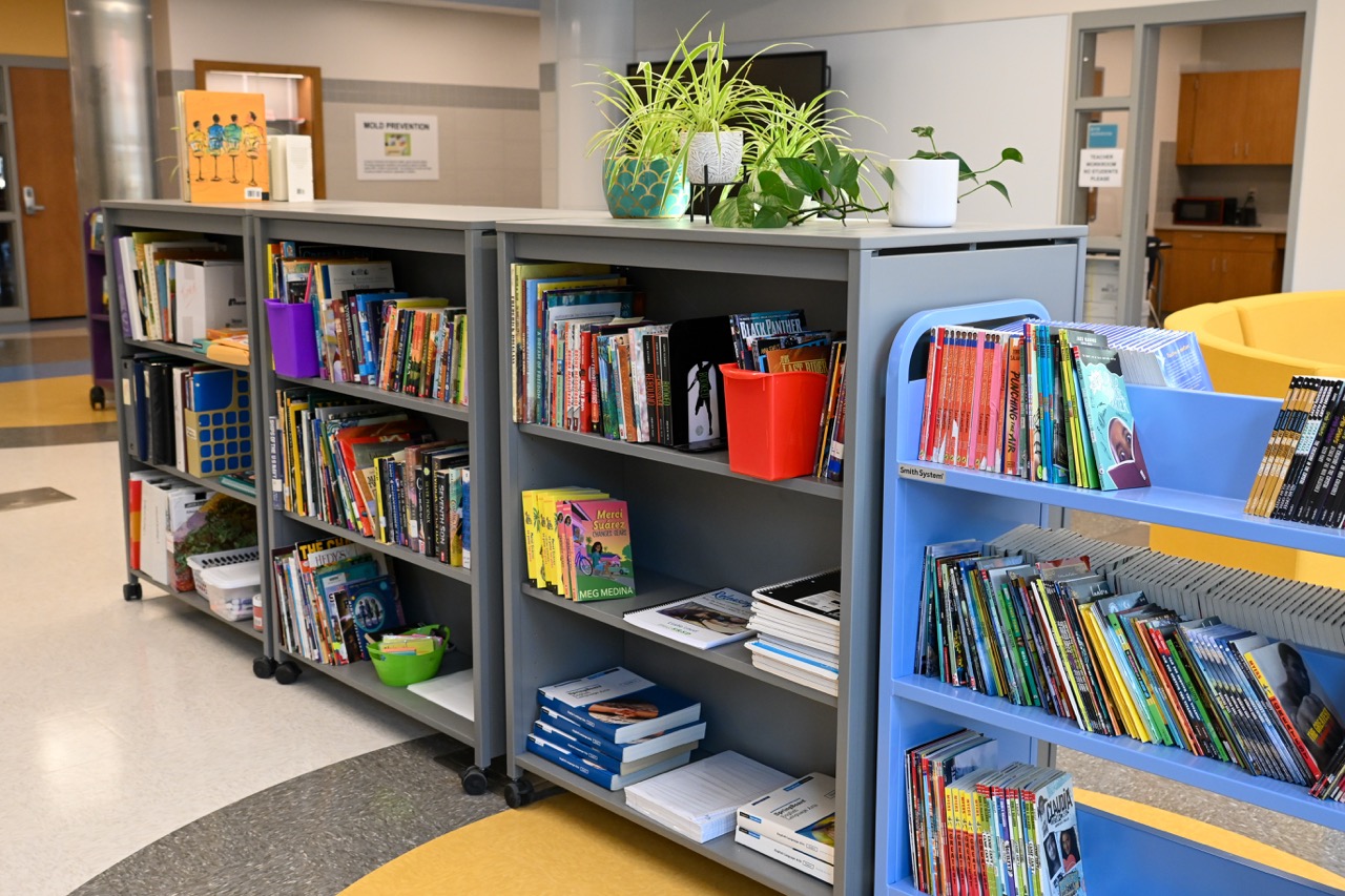 Books in the library