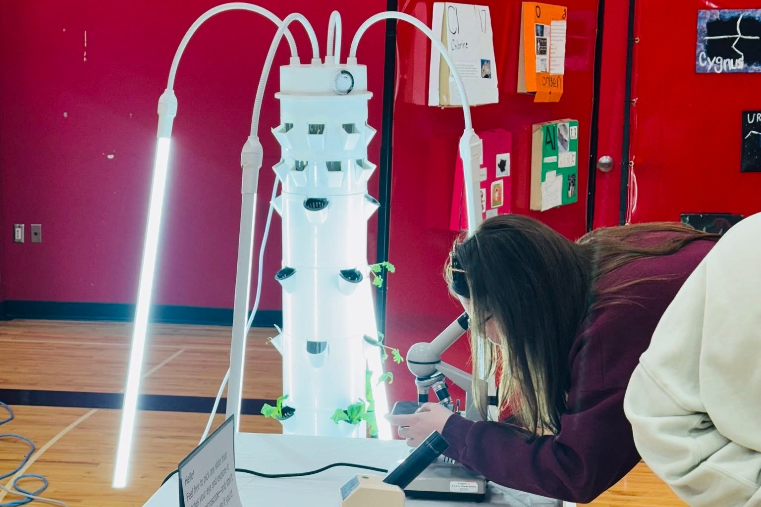 students play with equipment