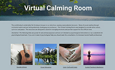 Virtual calming room webpage; has an image of a lake in a surrounding forest