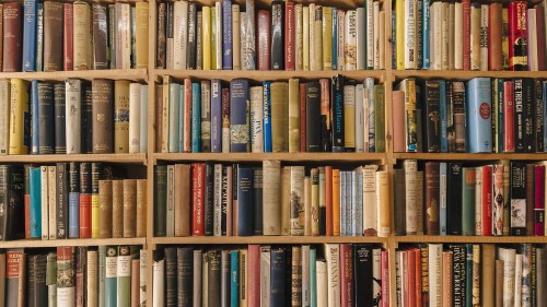 photo of bookshelve full of books