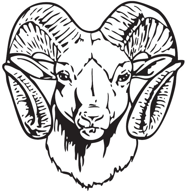 ram