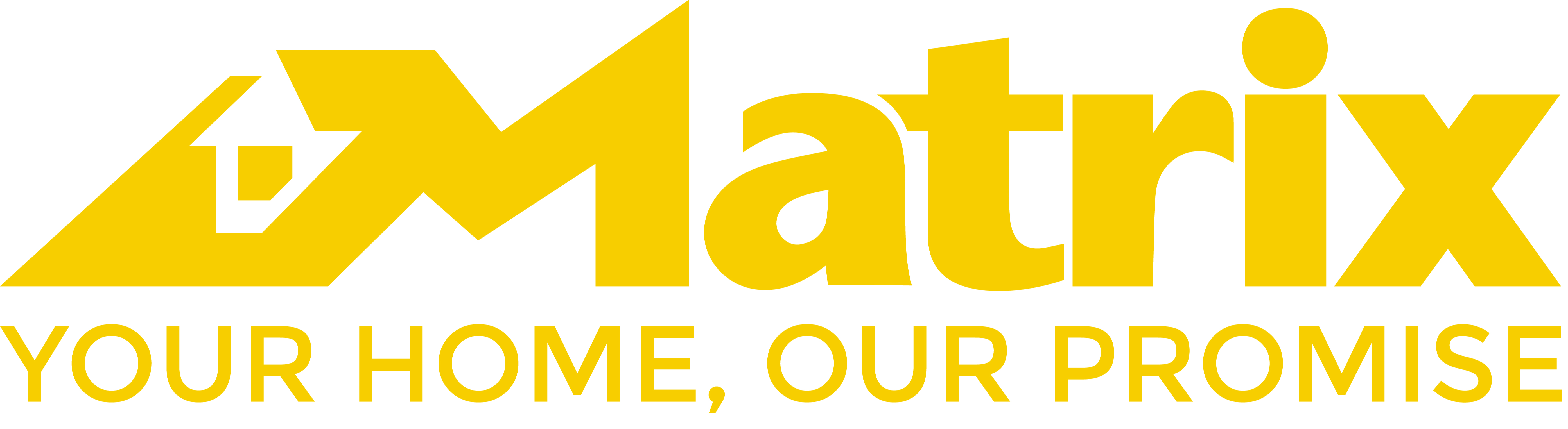 Matrix Logo