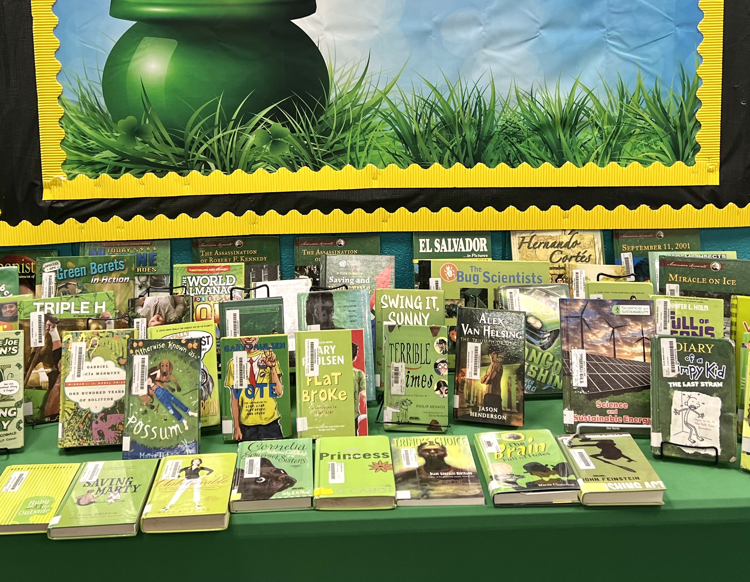 GREEN BOOKS DISPLAY