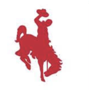 Chaney High School Cowboys red cowboy on bucking horse mascot logo