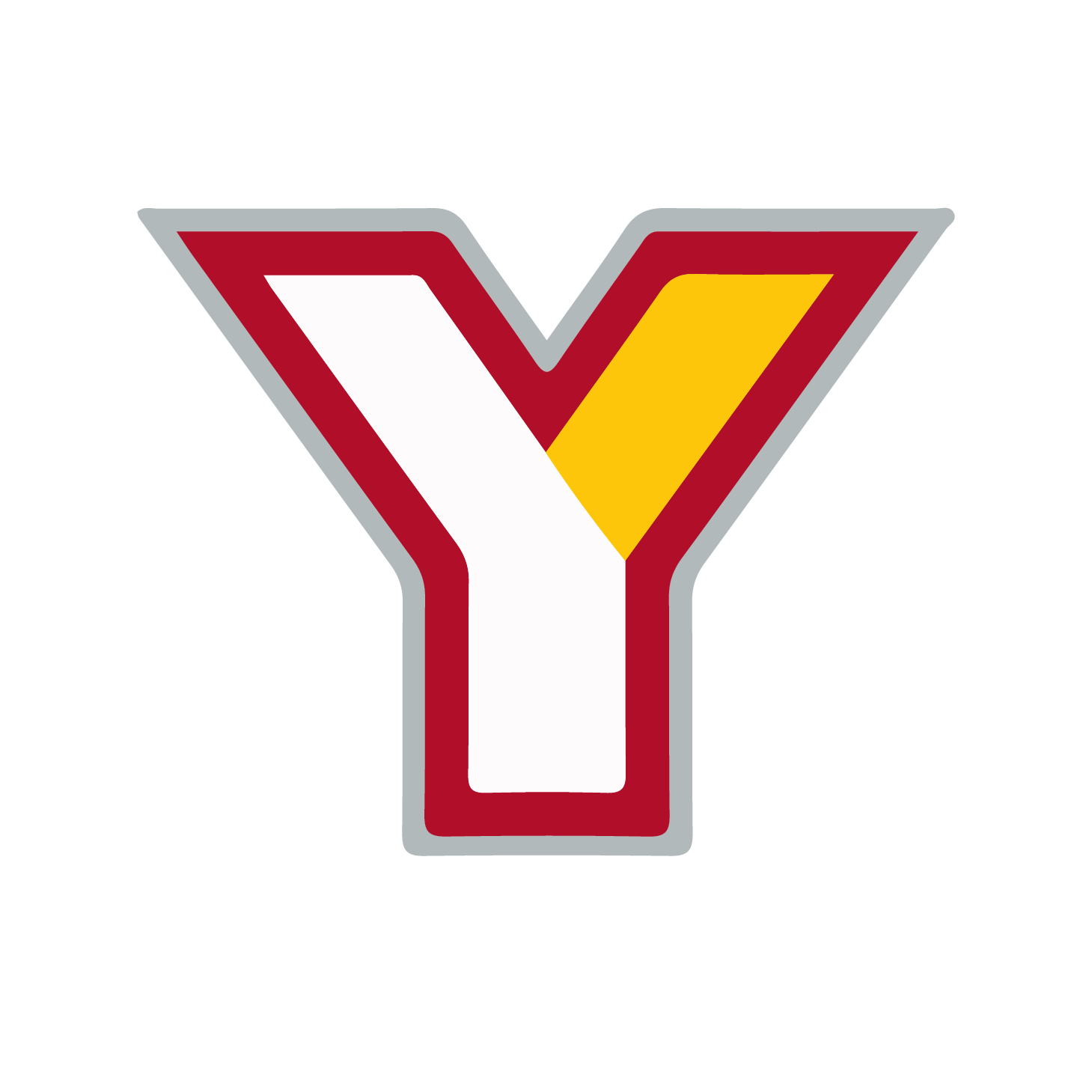 YCSD logo