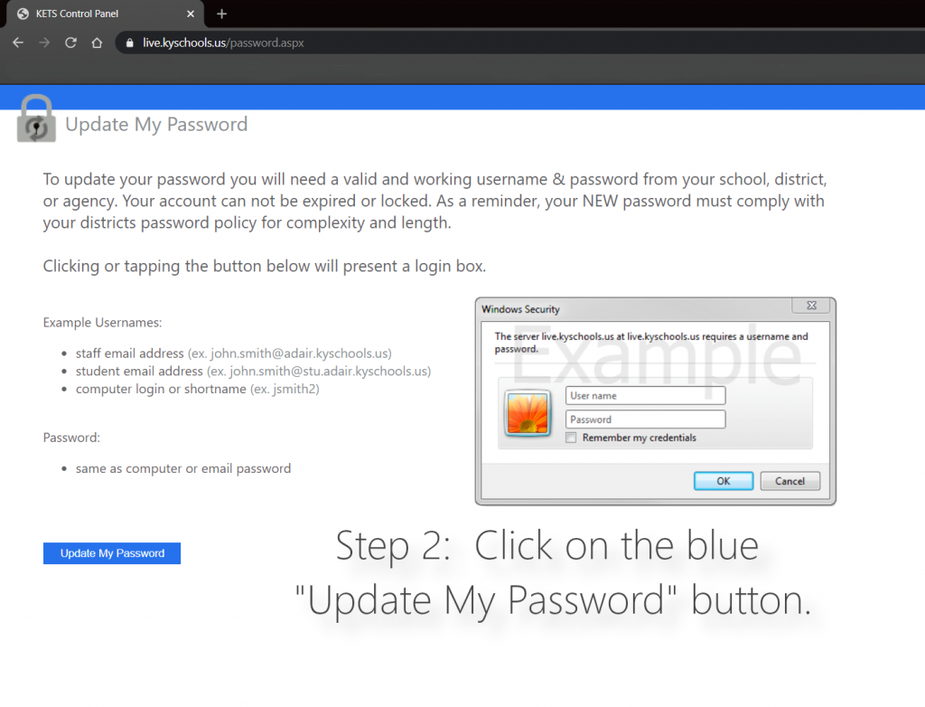 the second step is to click on the blue button to Update my password