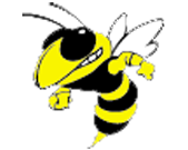 yellowjackets logo