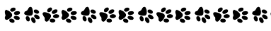 paw prints